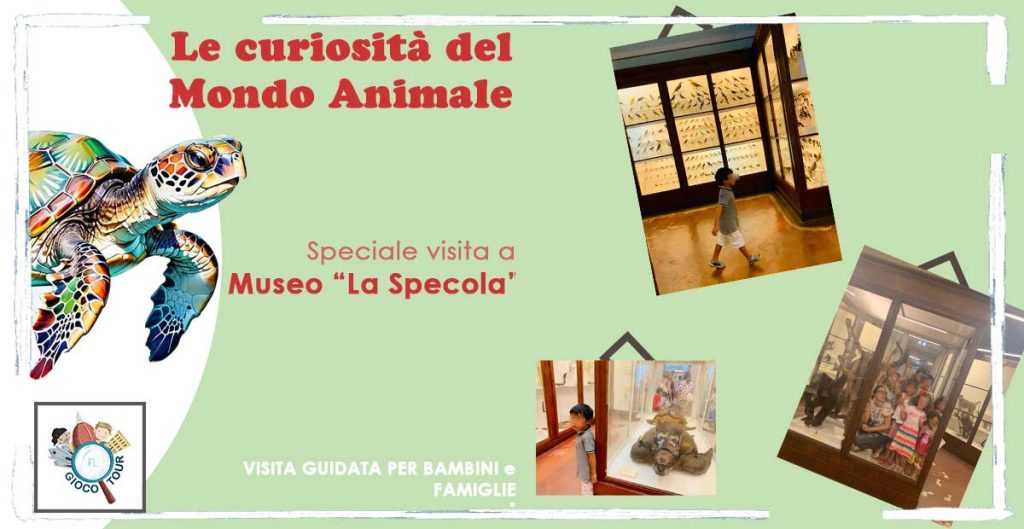 Le curiosità del mondo animale. La Specola 🦝🐢🦩🦈