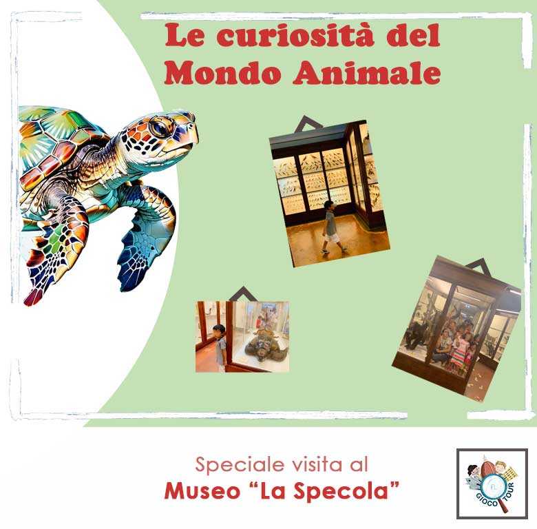 Le curiosità del mondo animale. La Specola 🦝🐢🦩🦈